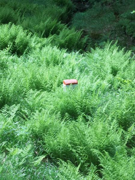 JZ_20120603_2997.jpg
