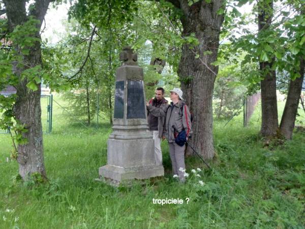WJ_139.jpg